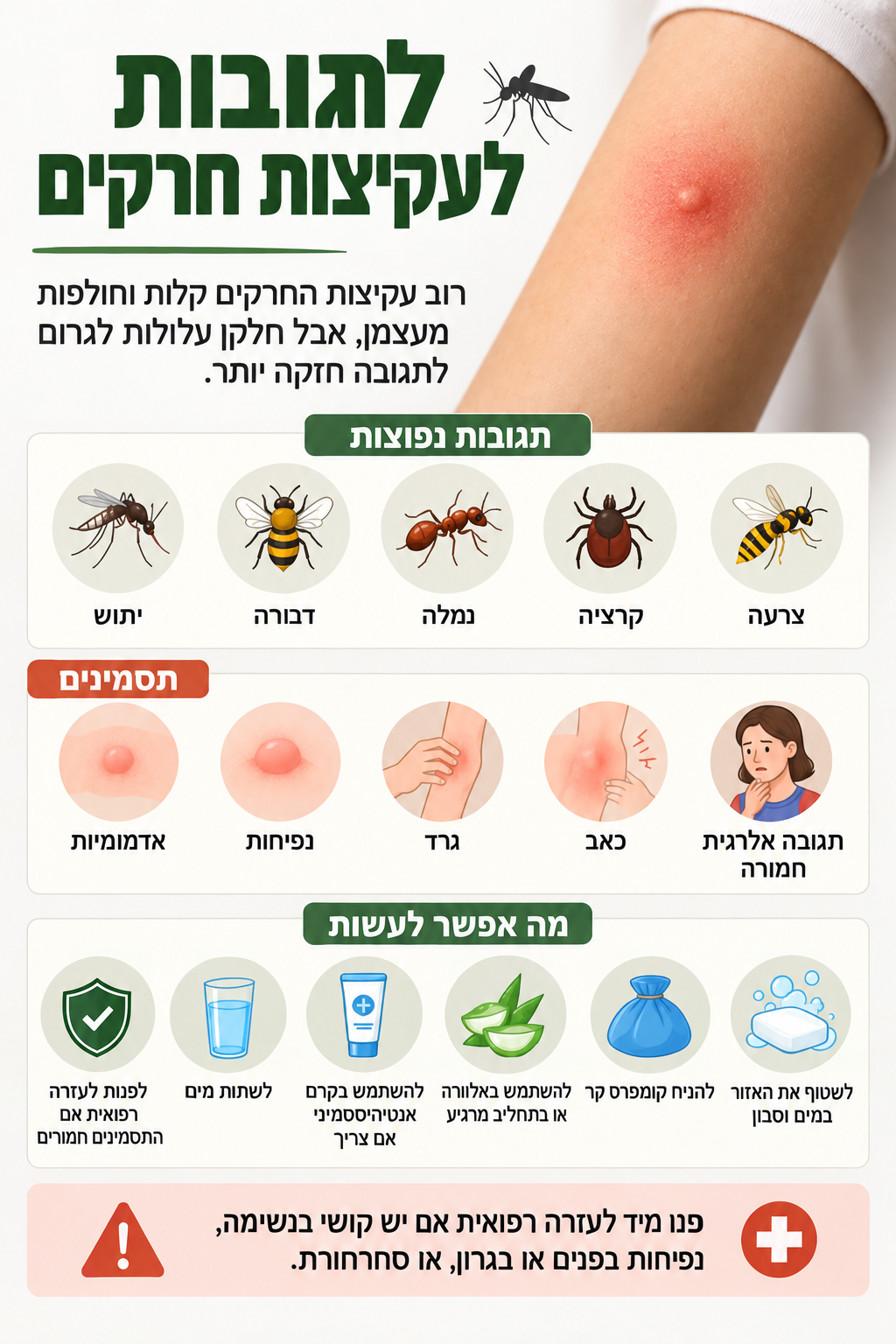 תגובות נפוצות לעקיצות חרקים
